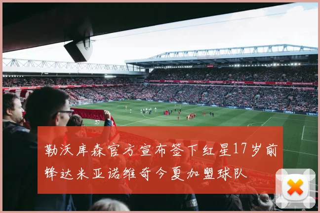 勒沃库森官方宣布签下红星17岁前锋达米亚诺维奇今夏加盟球队