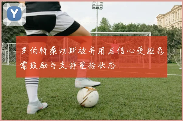 罗伯特桑切斯被弃用后信心受挫急需鼓励与支持重拾状态