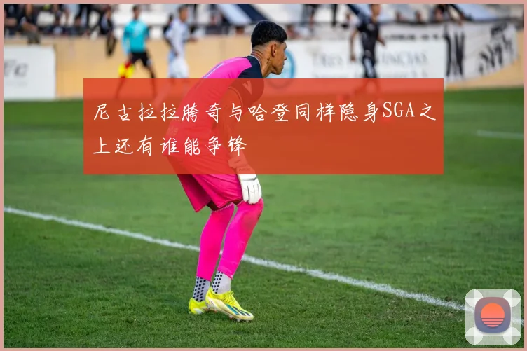 尼古拉拉胯奇与哈登同样隐身SGA之上还有谁能争锋