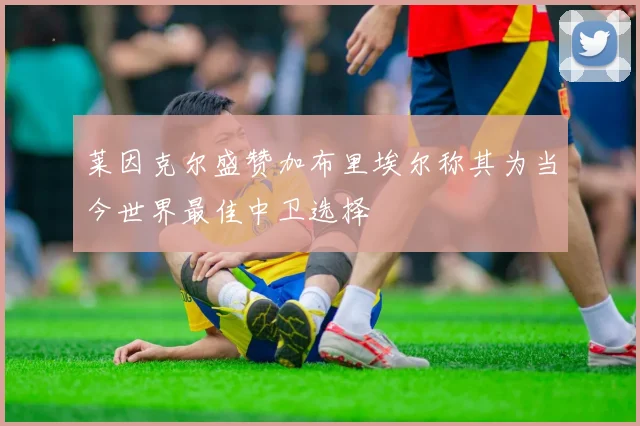 莱因克尔盛赞加布里埃尔称其为当今世界最佳中卫选择