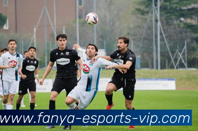 泛亚电竞平台生态图